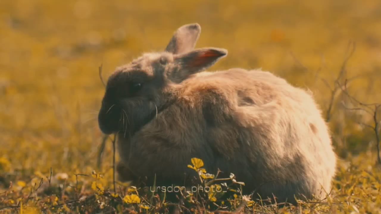 Доброе утро, дорогие подписчики!