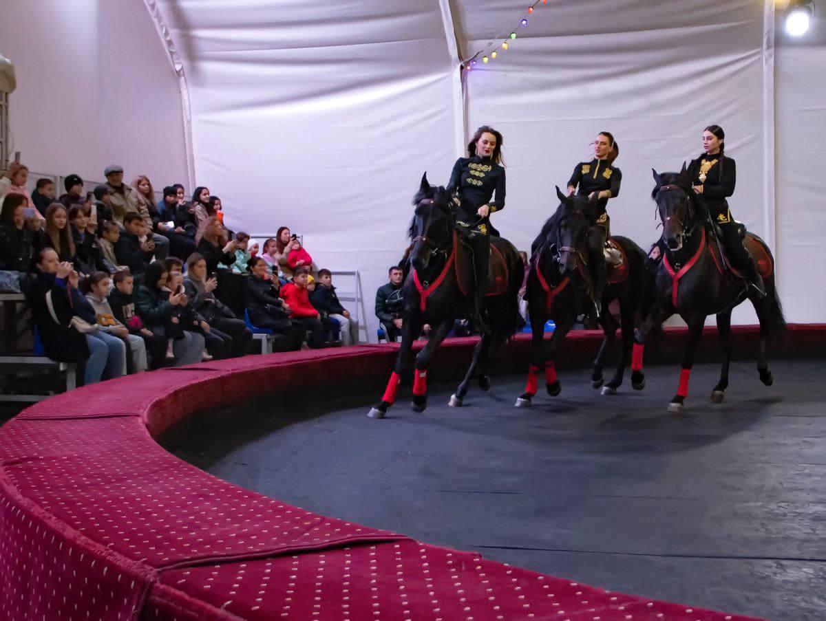 Театры, музеи, кинотеатры, различные мастер-классы и другие интересные мероприятия могут бесплатно посещать дети участников СВО в Северной Осетии