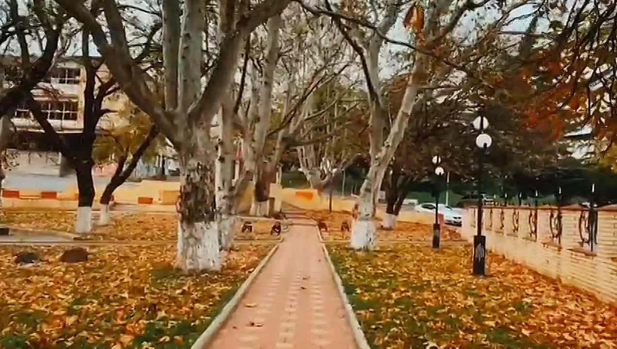 Доброе утро, дорогие подписчики!