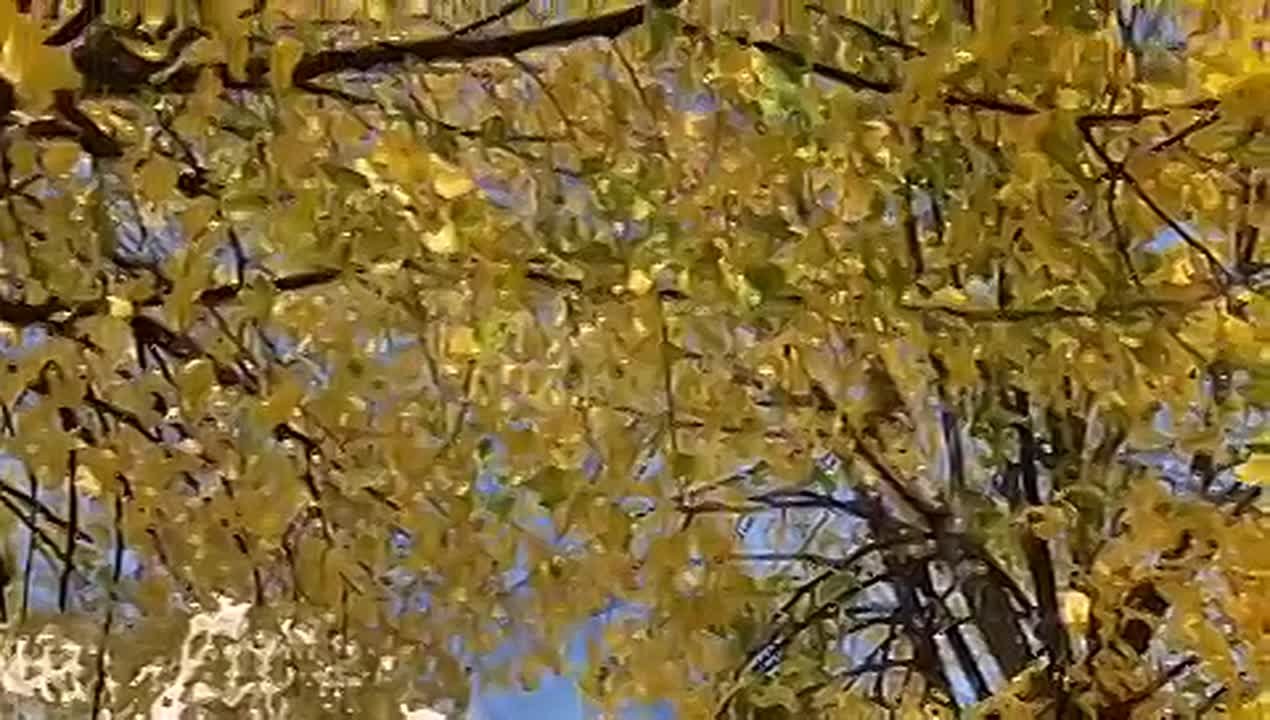 Доброе утро, дорогие подписчики!