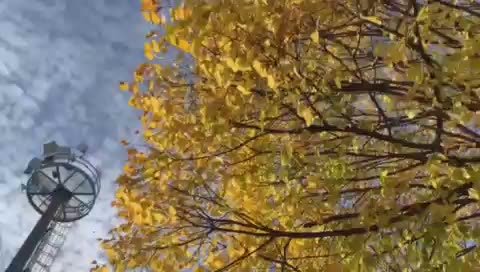 Доброе утро, дорогие подписчики!