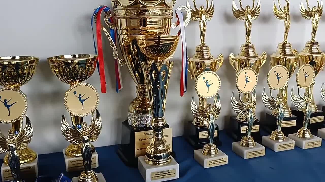 В Цхинвале в шестой раз проходит Кубок Федерации республики по художественной гимнастике