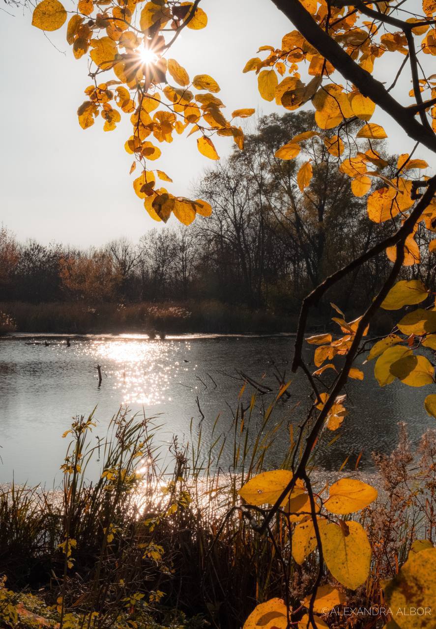 Доброе утро, Осетия!. Сегодня в республике синоптики прогнозируют солнечную погоду