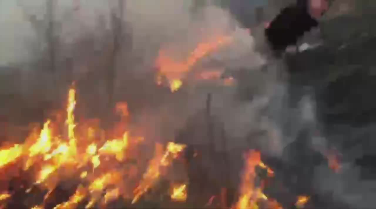 Наши подписчики делятся кадрами горящего сухостоя в селах Эрцо и Саридтата. Огонь распространяется быстро, пожарные МЧС вторые сутки борются с огнем в Дзауском районе