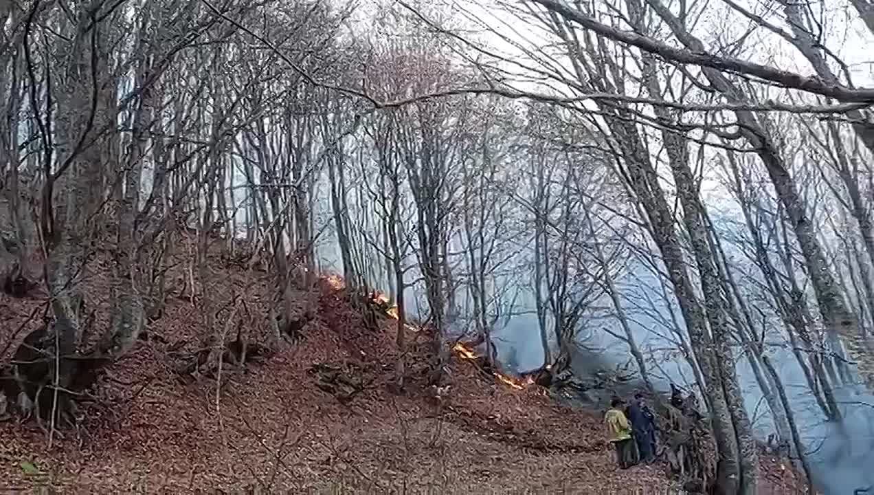 МЧС Южной Осетии ликвидировало два крупных очага возгорания сухостоя в Дзауском районе - Начрепа, Замтарет, Саридтата