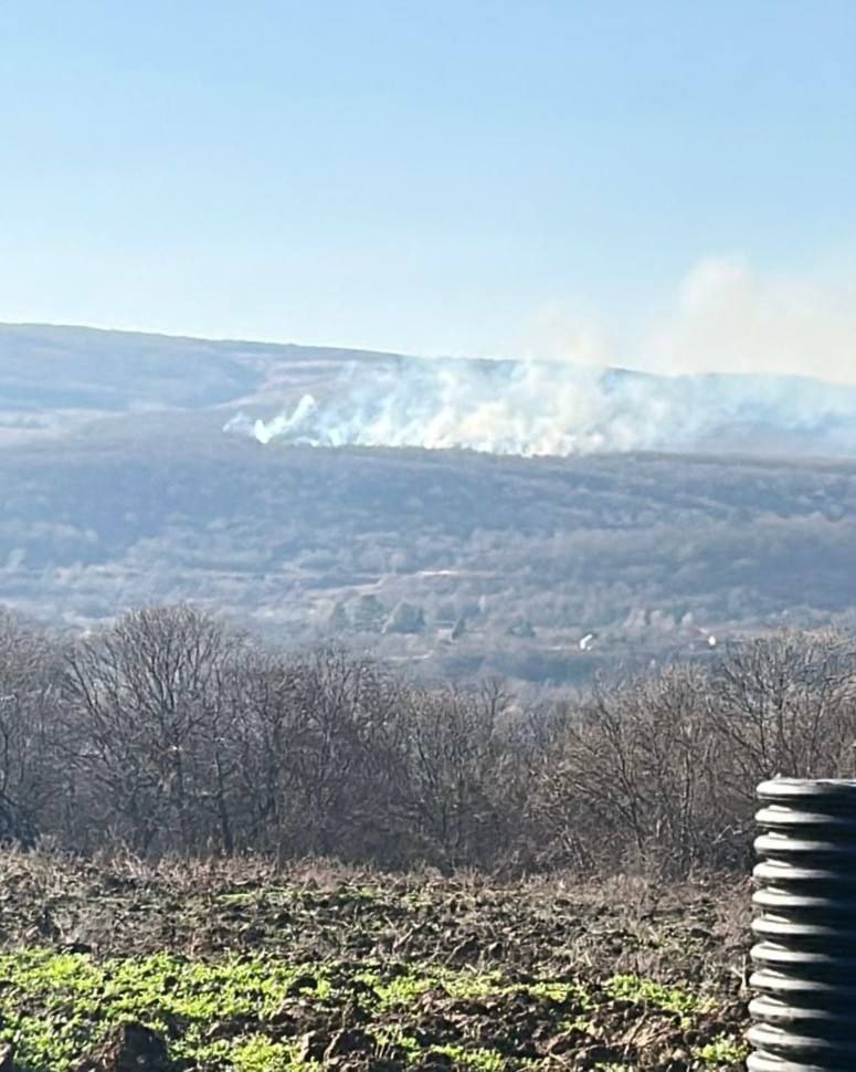 В Цхинвальском районе зафиксированы возгорания сухой растительности