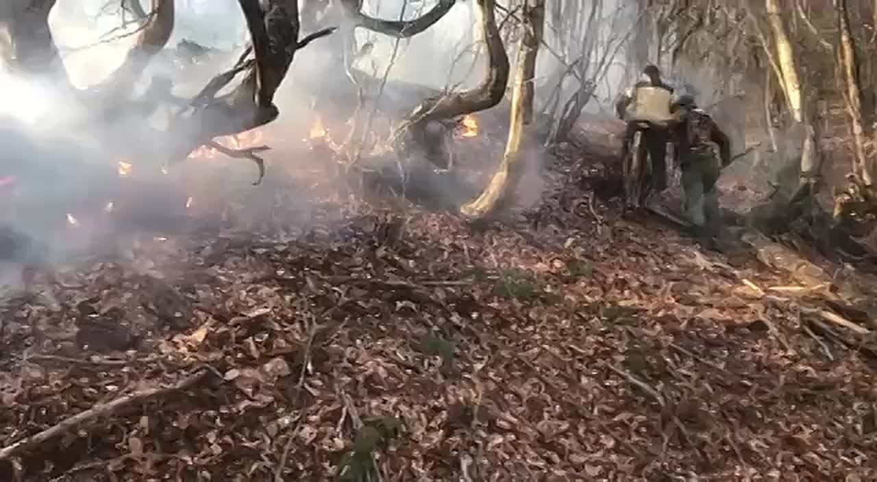Управление лесного хозяйства Южной Осетии вместе с сотрудниками МЧС второй день работают над ликвидацией крупного ландшафтного пожара в лесном массиве Дзауского района
