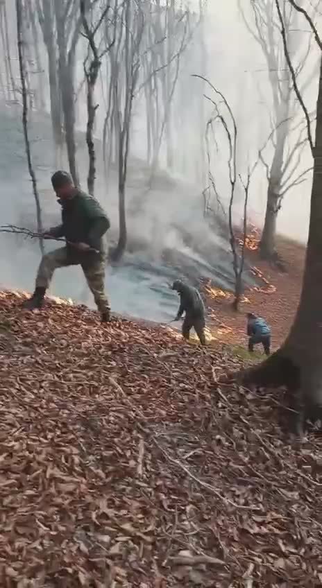 МЧС ЮО ликвидирует крупный лесной пожар в Дзауском районе