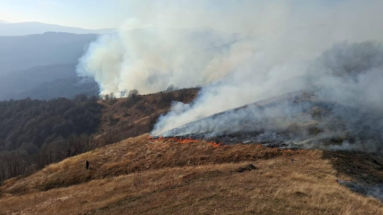 Более 200 спасателей вместе с сельчанами борются с ландшафтными пожарами в Южной Осетии
