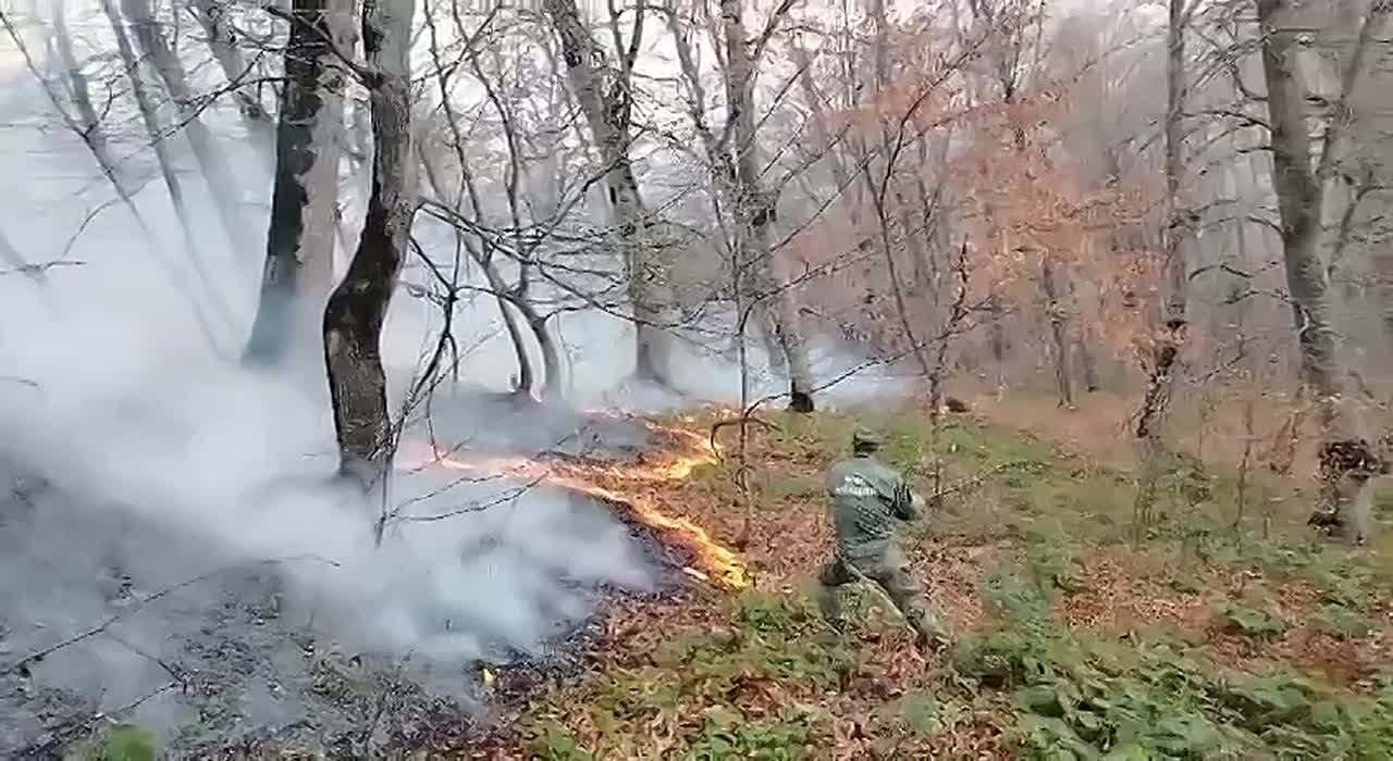В Ленингорском районе Южной Осетии произошло возгорание сухостоя