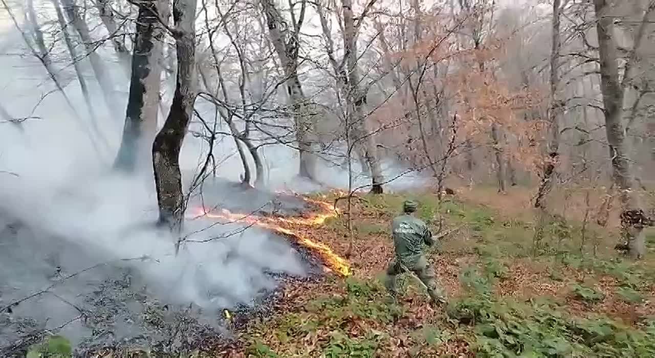 В районе села Гардебан Ленингорского района произошло возгорание сухостоя