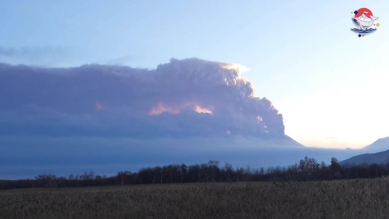 На Камчатке аулкан Безымянный выбросил столб пепла на высоту 11,4 километра над уровнем моря