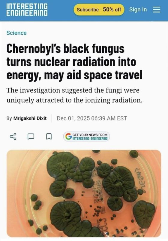 На территории Чернобыльской зоны отчуждения обнаружили уникальный грибок, который питается сильной радиацией и превращает ее в энергию