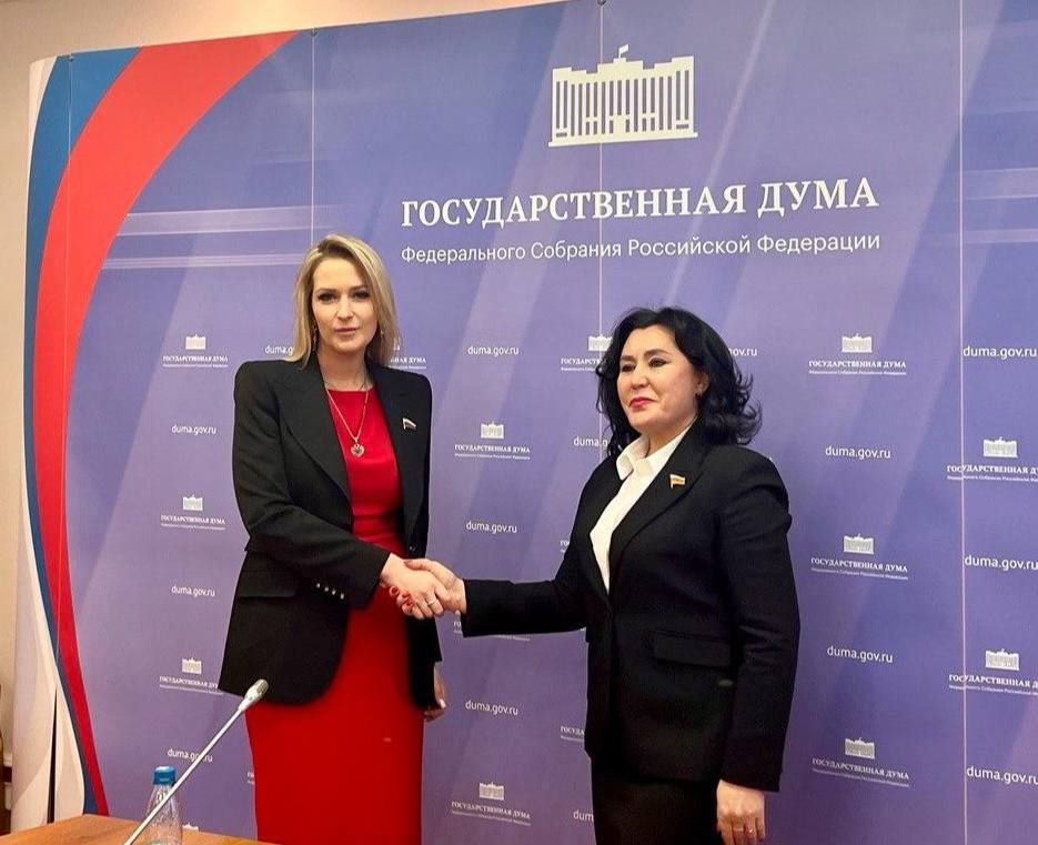 Депутаты фракции "Справедливая Россия" и парламента Южной Осетии обсудили создание общей системы проверки игр, игрушек и интернет-контента на вредные идеи