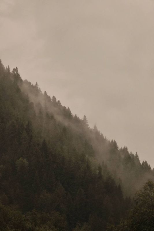 Доброе утро, Осетия!. Сегодня в республике синоптики прогнозируют пасмурную погоду и дождь