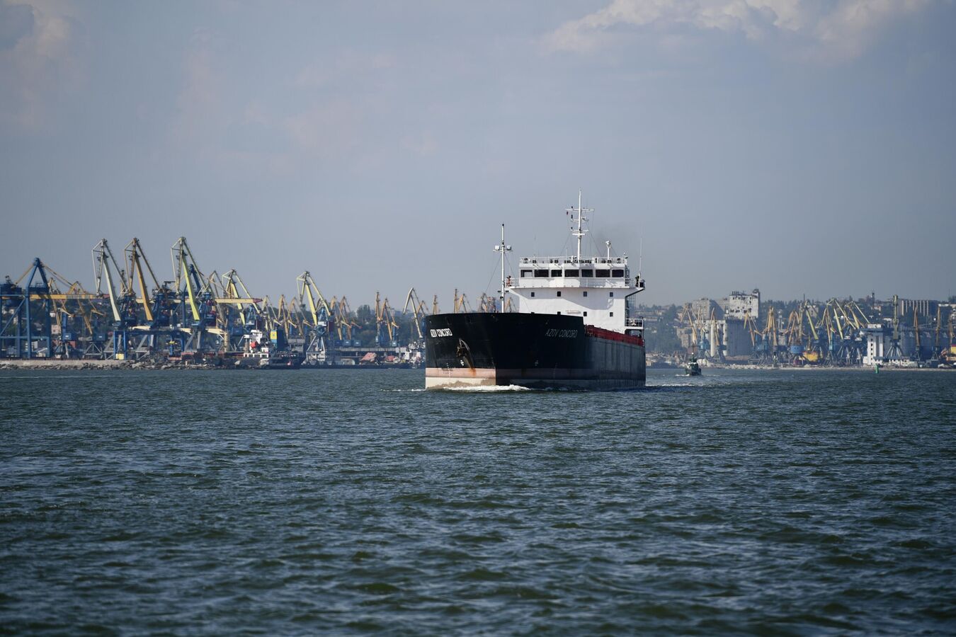 Россия вошла в тройку стран G20 с самыми высокими доходами от торговли