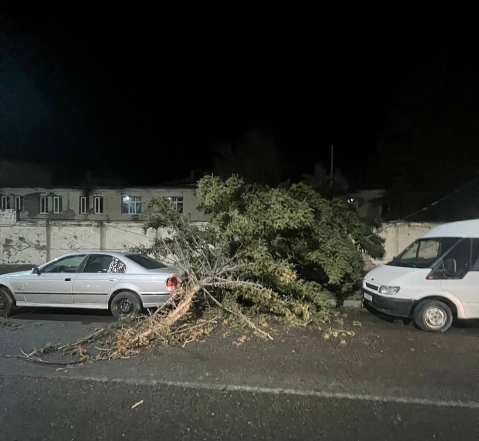 Специалисты МЧС Южной Осетии продолжают мониторинг и оценку последствий шквалистого ветра, который обрушился на республику этой ночью