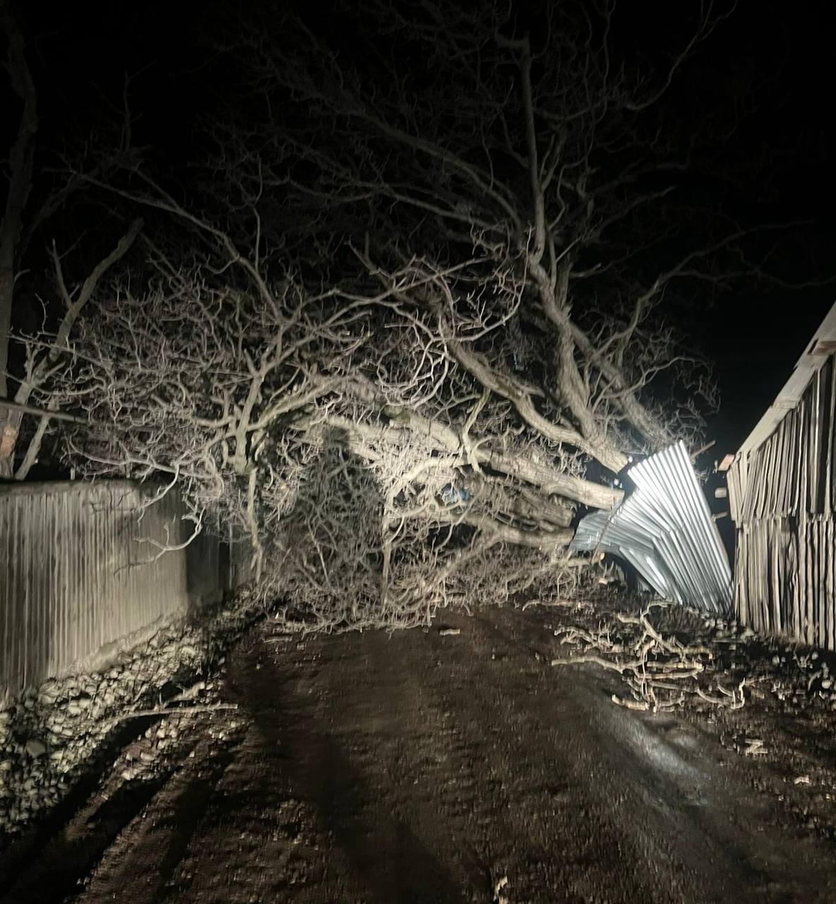 Специалисты МЧС Южной Осетии в настоящее время проводят мониторинг и оценку ситуации после шквалистого ветра, обрушившегося на республику сегодня ночью