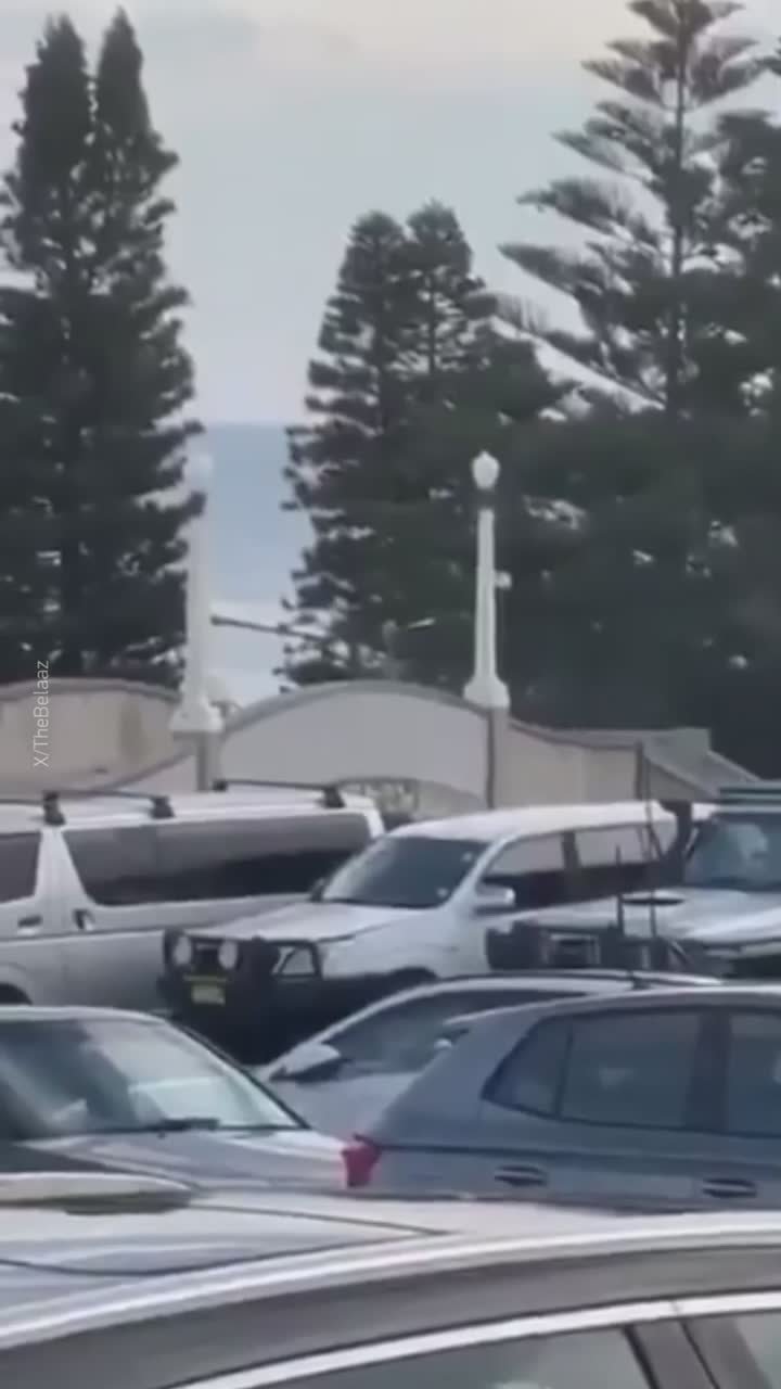 На пляже в Сиднее неизвестный открыл стрельбу — люди в панике разбегаются с криками