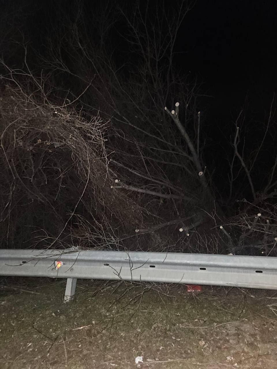 В селе Хетагурово Цхинвальского района спасатели МЧС Южной Осетии оперативно убрали упавшее дерево, которое перегородило дорогу