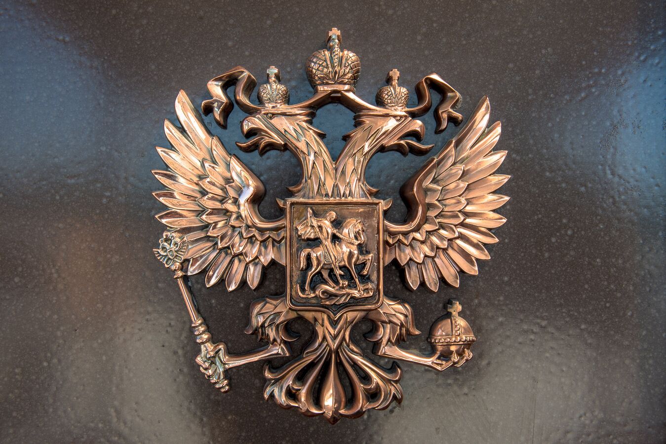 Посольство РФ в РЮО объявило график работы консульского отдела в новогодние праздники